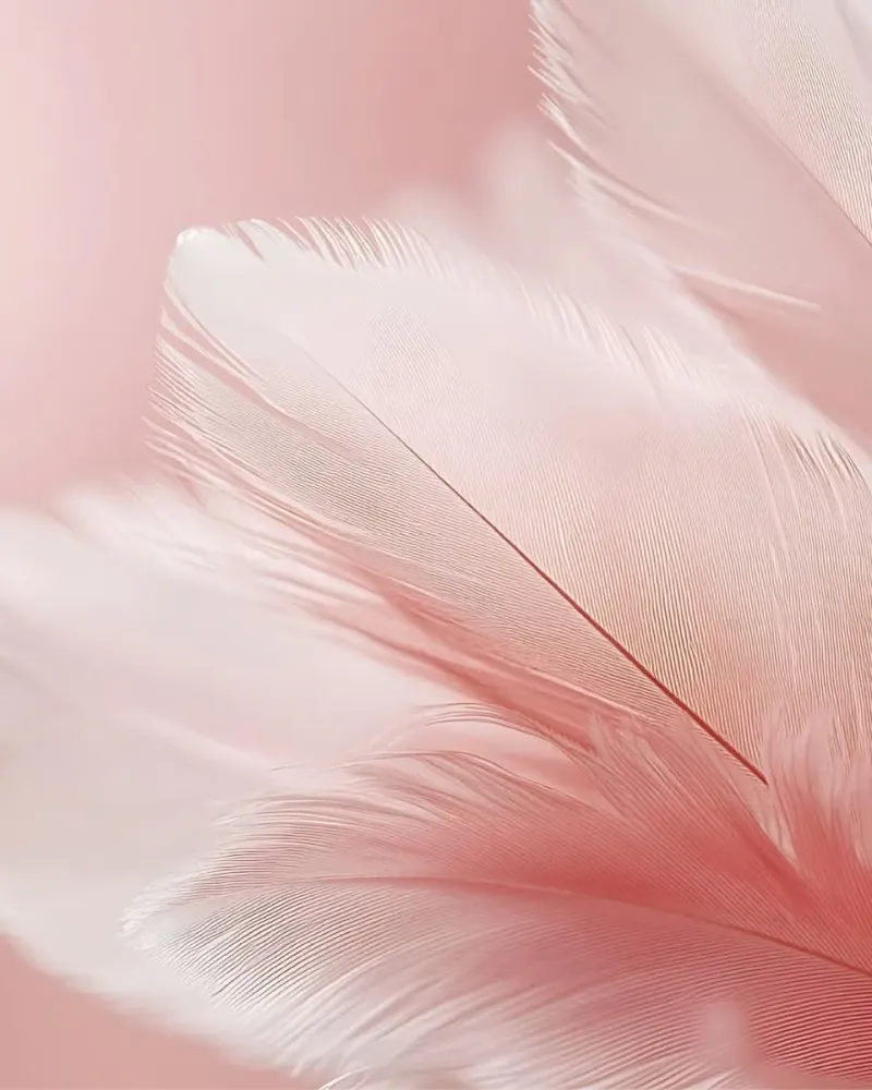 517313131_24807189658881948_3435845127168638955_n