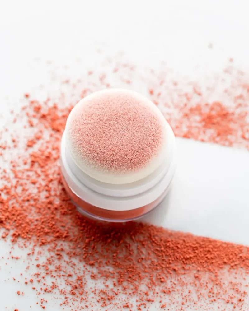 565167661_1445908293715498_9056939272273578553_n